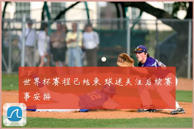 世界杯赛程已结束 球迷关注后续赛事安排